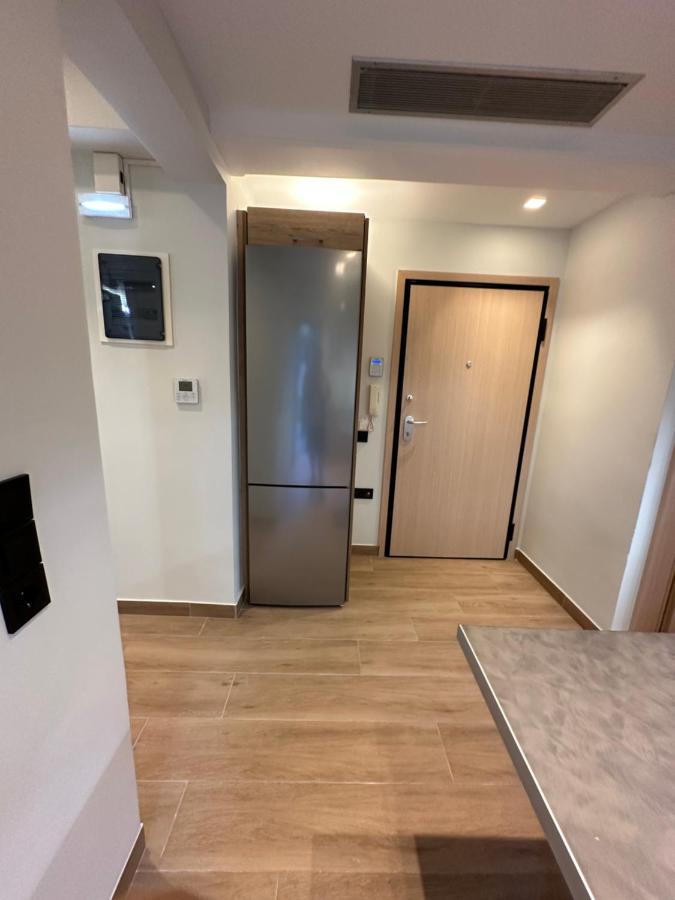 Vasilis Luxury Apartment Athens Luaran gambar